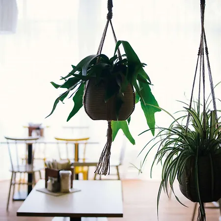 Vienna House Easy By Wyndham