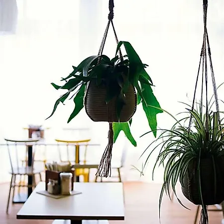 Hotel Vienna House Easy By Wyndham Amberg