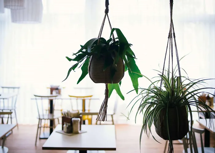 Vienna House Easy By Wyndham